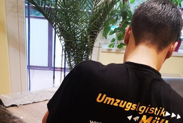 Laborumzug Wilthen stressfrei umziehen 